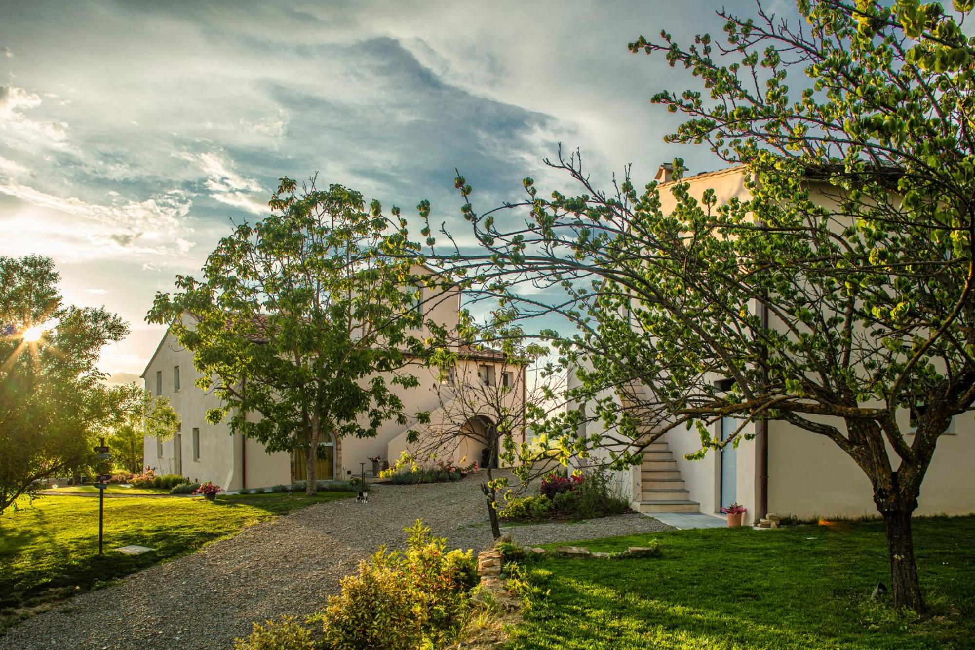 Relais Borgo Elissa Bed & Breakfast Certaldo Luaran gambar